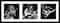 RUSH Framed Triple Black & White Photo Collage 45.5" x 19"